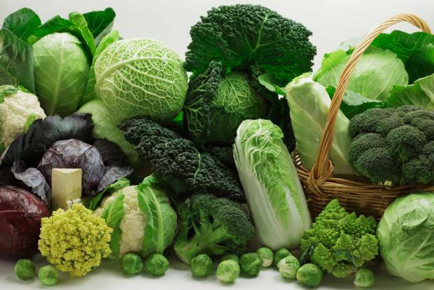 verduras_hoja_verde1